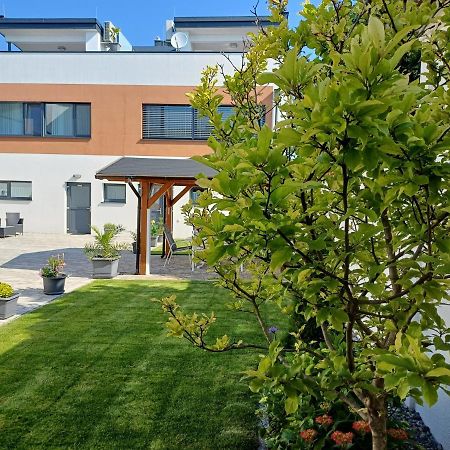 Penthouse Griemann 1 Mit Infrarotkabine Und Eigener Dachterrasse Fuer Max 4 Personen Illmitz Eksteriør bilde